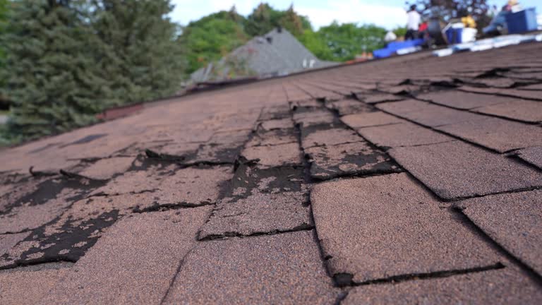 Roof Insulation in South Euclid, OH